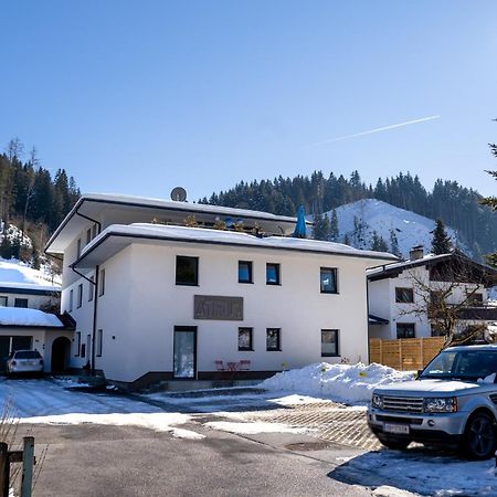 Tirola Bude Sepp Top 4 Hopfgarten im Brixental Eksteriør bilde